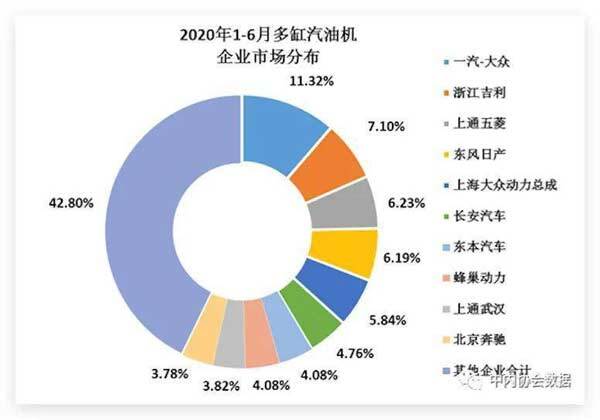 2020年1-6月多缸汽油机企业市场分布