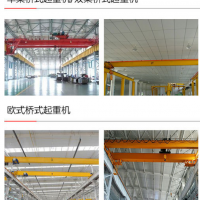 西安高新技术产业开发区行吊维修保养公司-安装龙门吊起重机